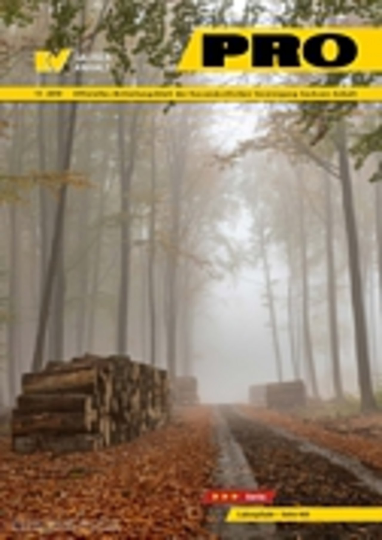 (c) Piotr - Fotolia.com